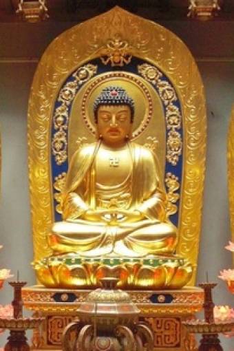 佛陀是真正的大医王 